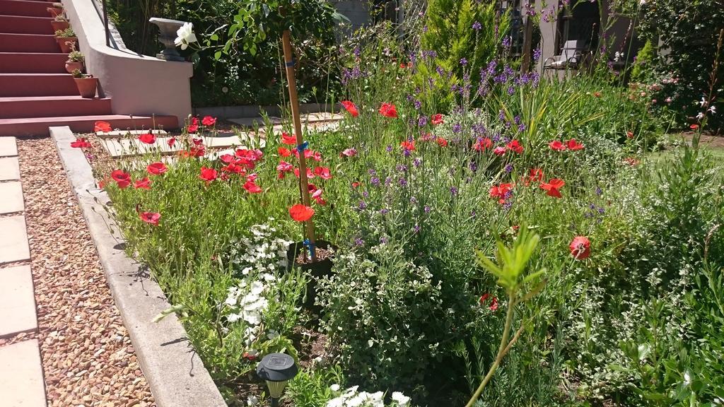 Abigail'S Garden Cottage مونتاغو المظهر الخارجي الصورة