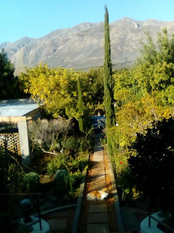 Abigail'S Garden Cottage مونتاغو المظهر الخارجي الصورة